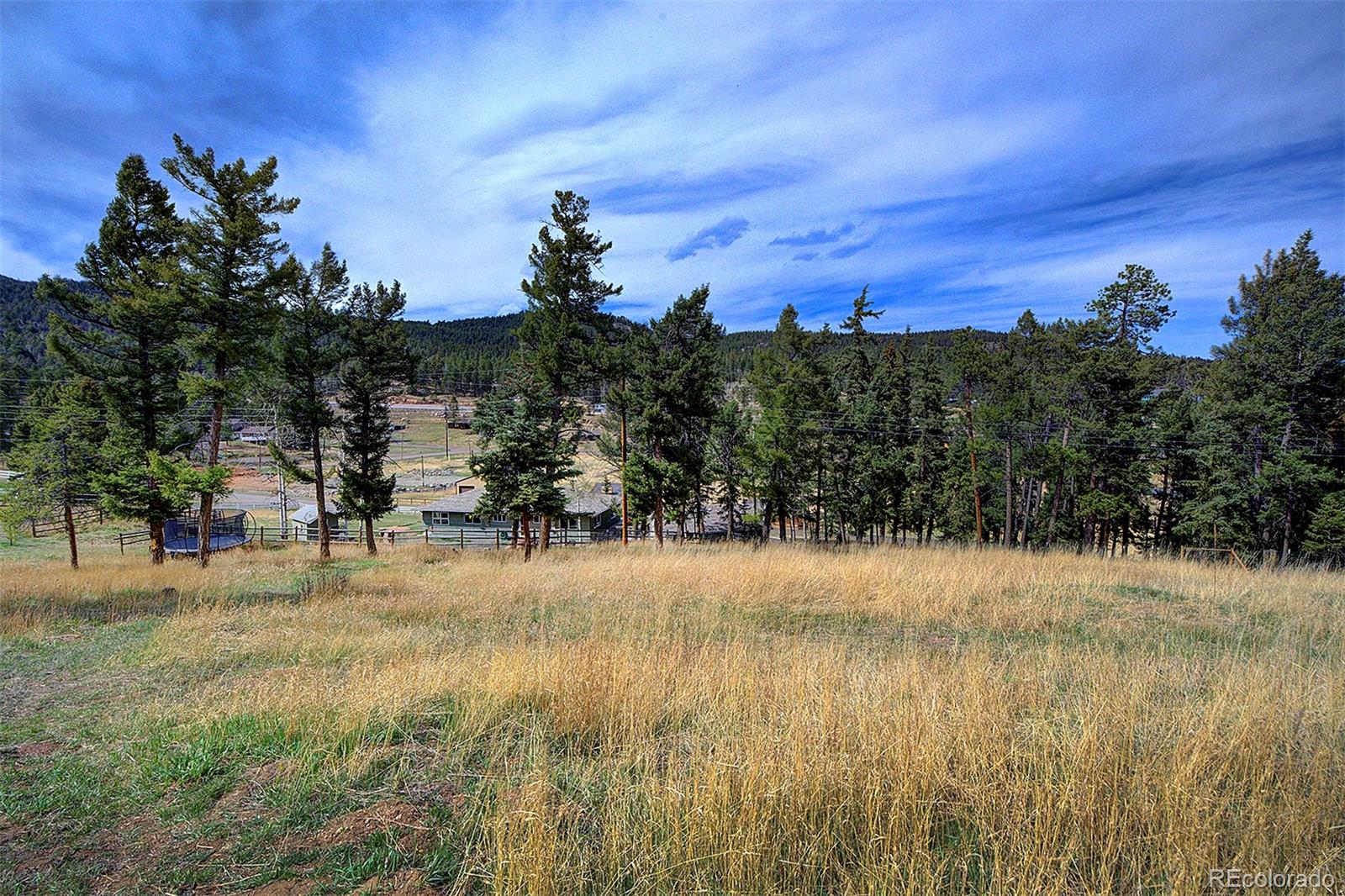 MLS Image #4 for 28574  columbine drive,conifer, Colorado