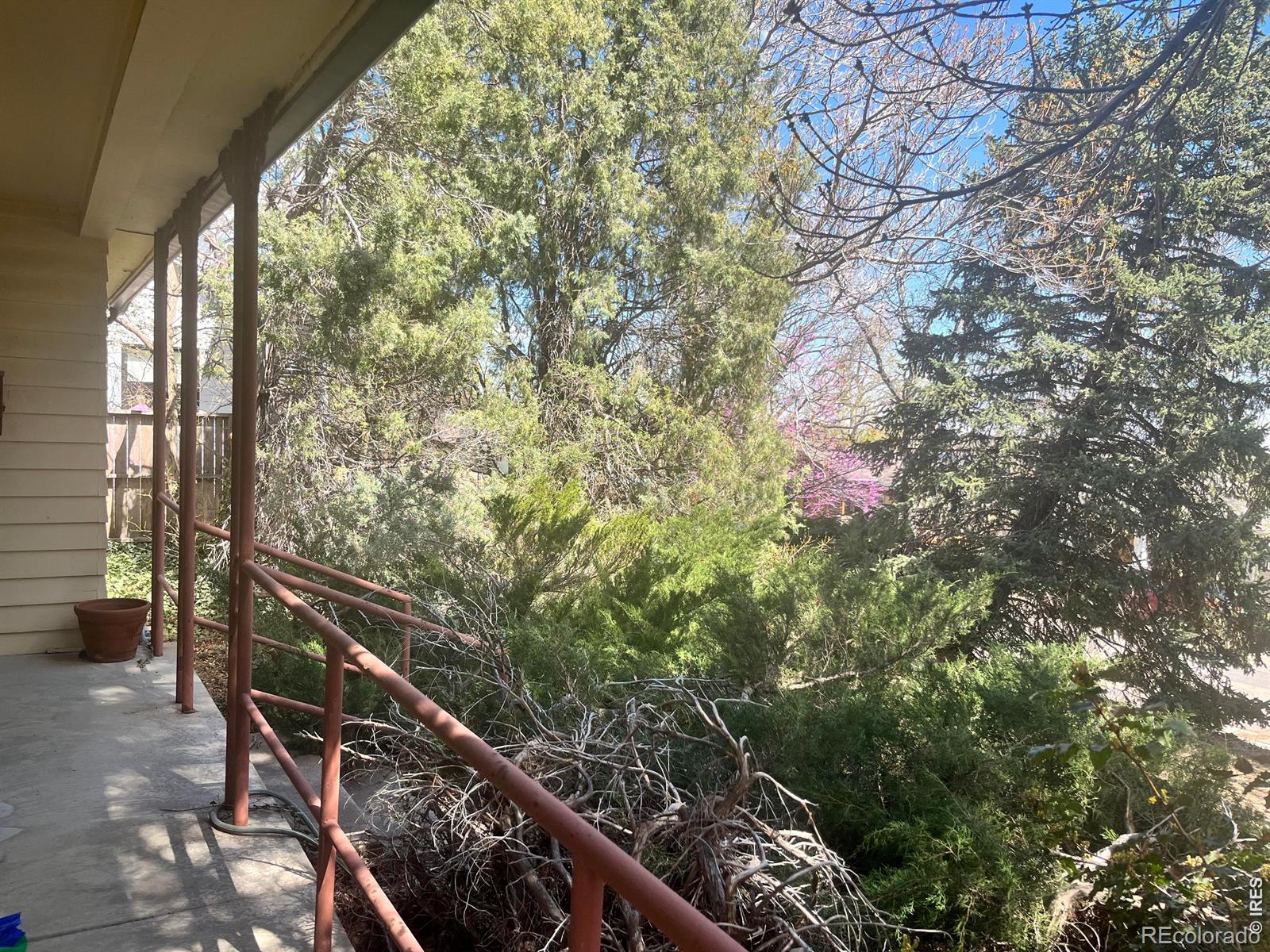 MLS Image #2 for 2843  4th street,boulder, Colorado