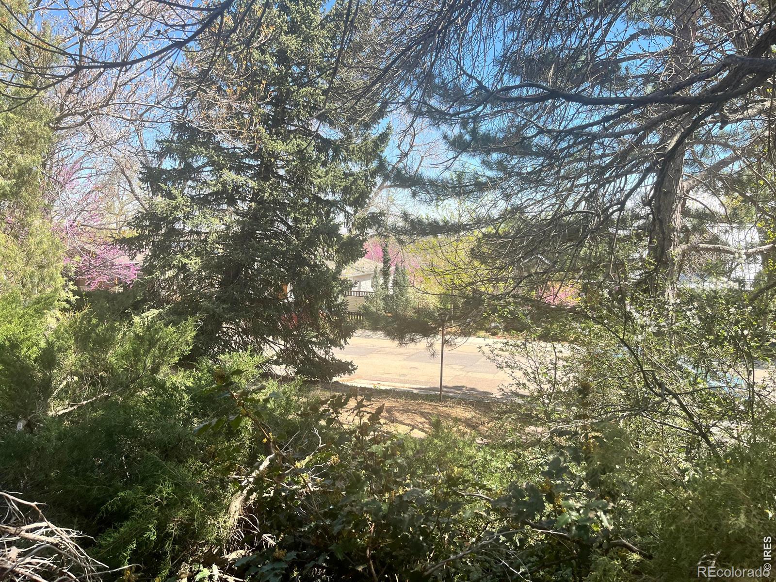MLS Image #3 for 2843  4th street,boulder, Colorado
