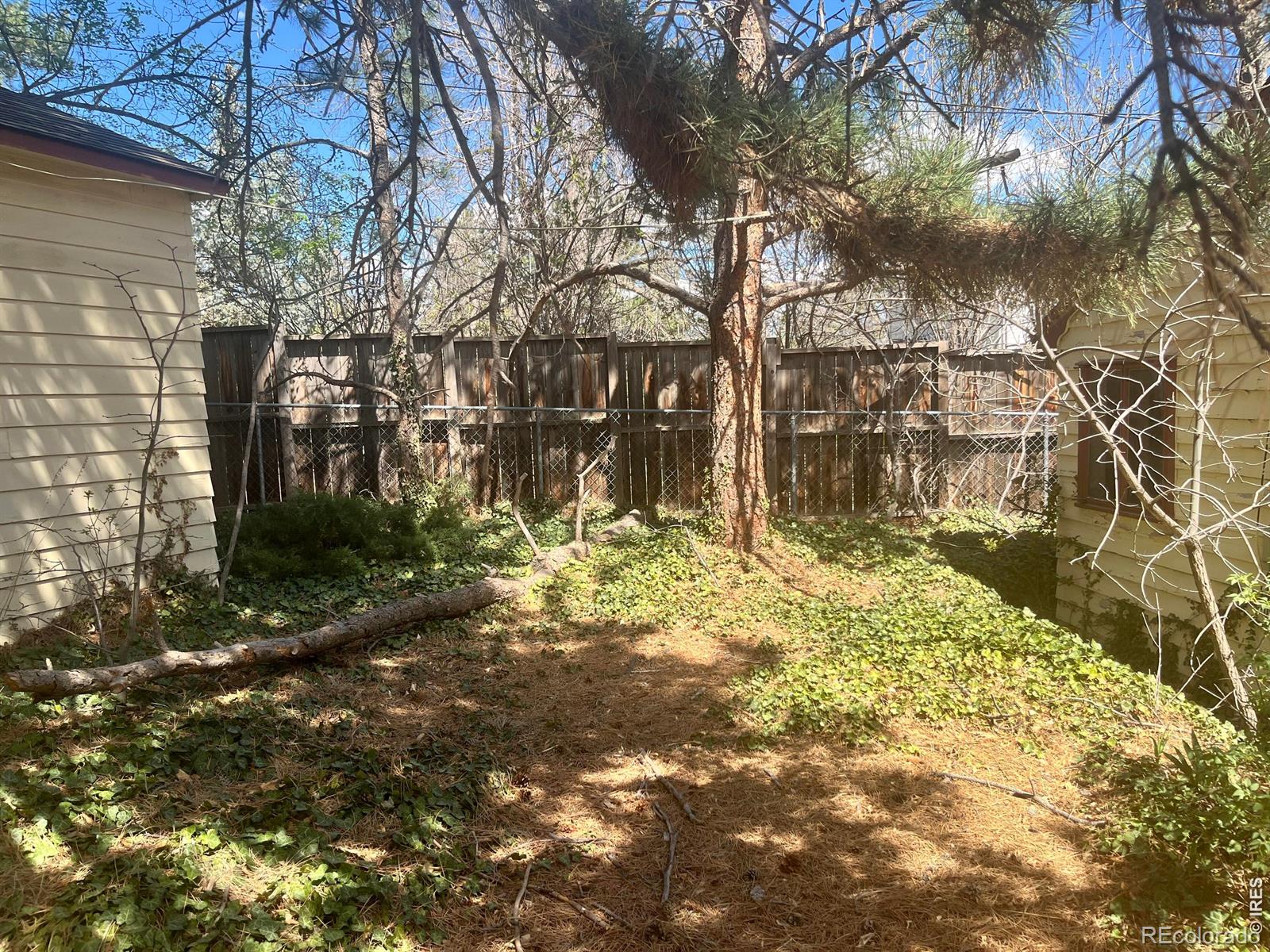 MLS Image #5 for 2843  4th street,boulder, Colorado