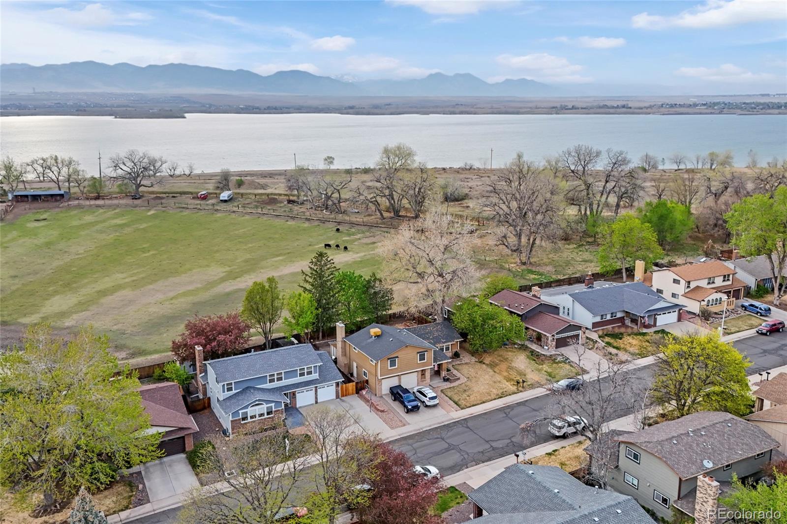 MLS Image #3 for 8865  jellison court,westminster, Colorado