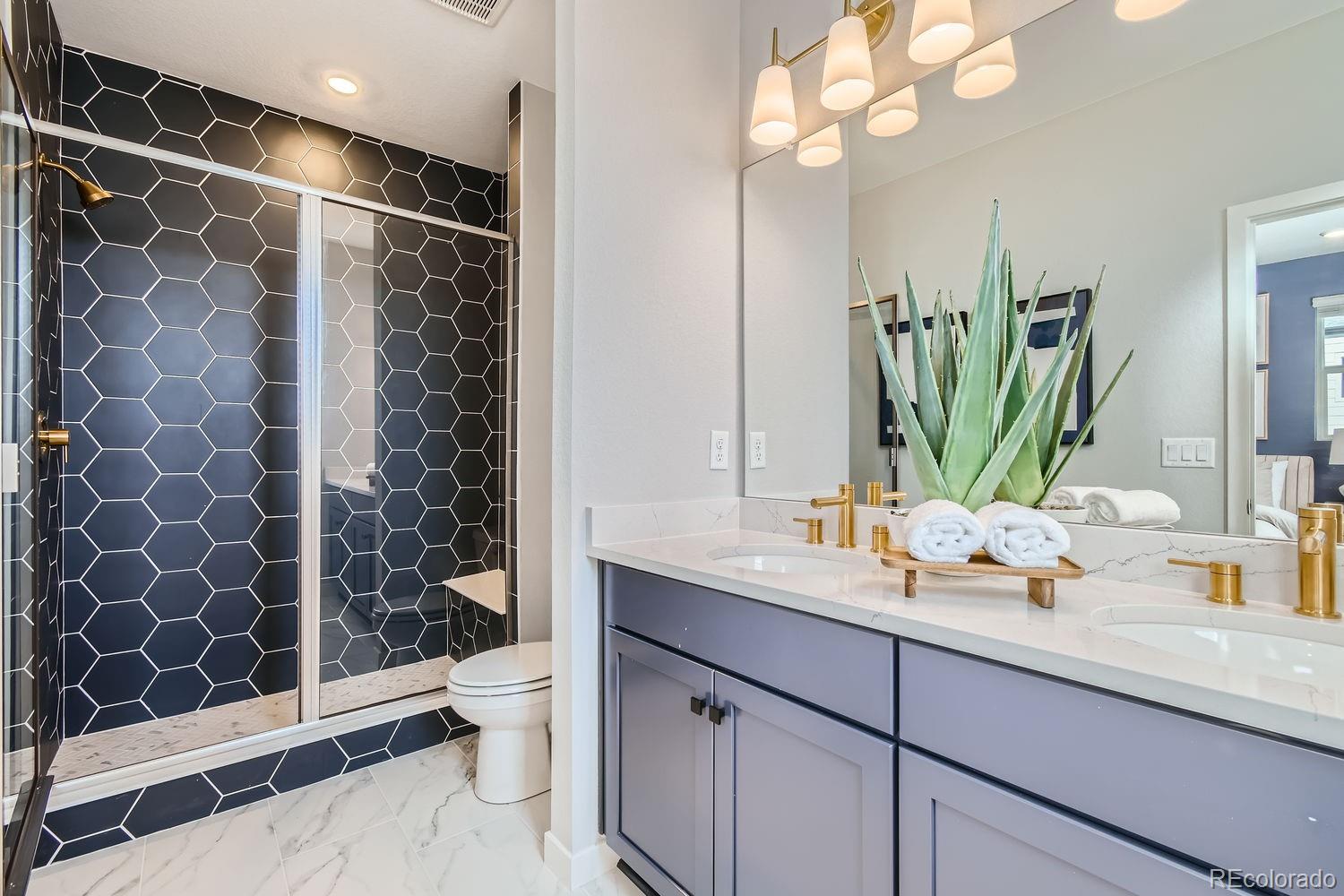MLS Image #17 for 16598  peak street ,broomfield, Colorado