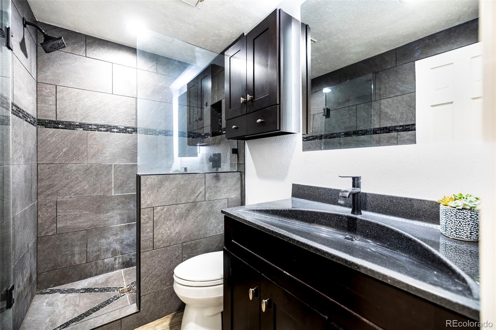 MLS Image #11 for 1244  snowbank court,longmont, Colorado