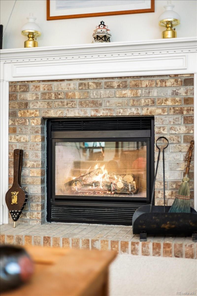 MLS Image #10 for 1011  laurenwood lane,highlands ranch, Colorado