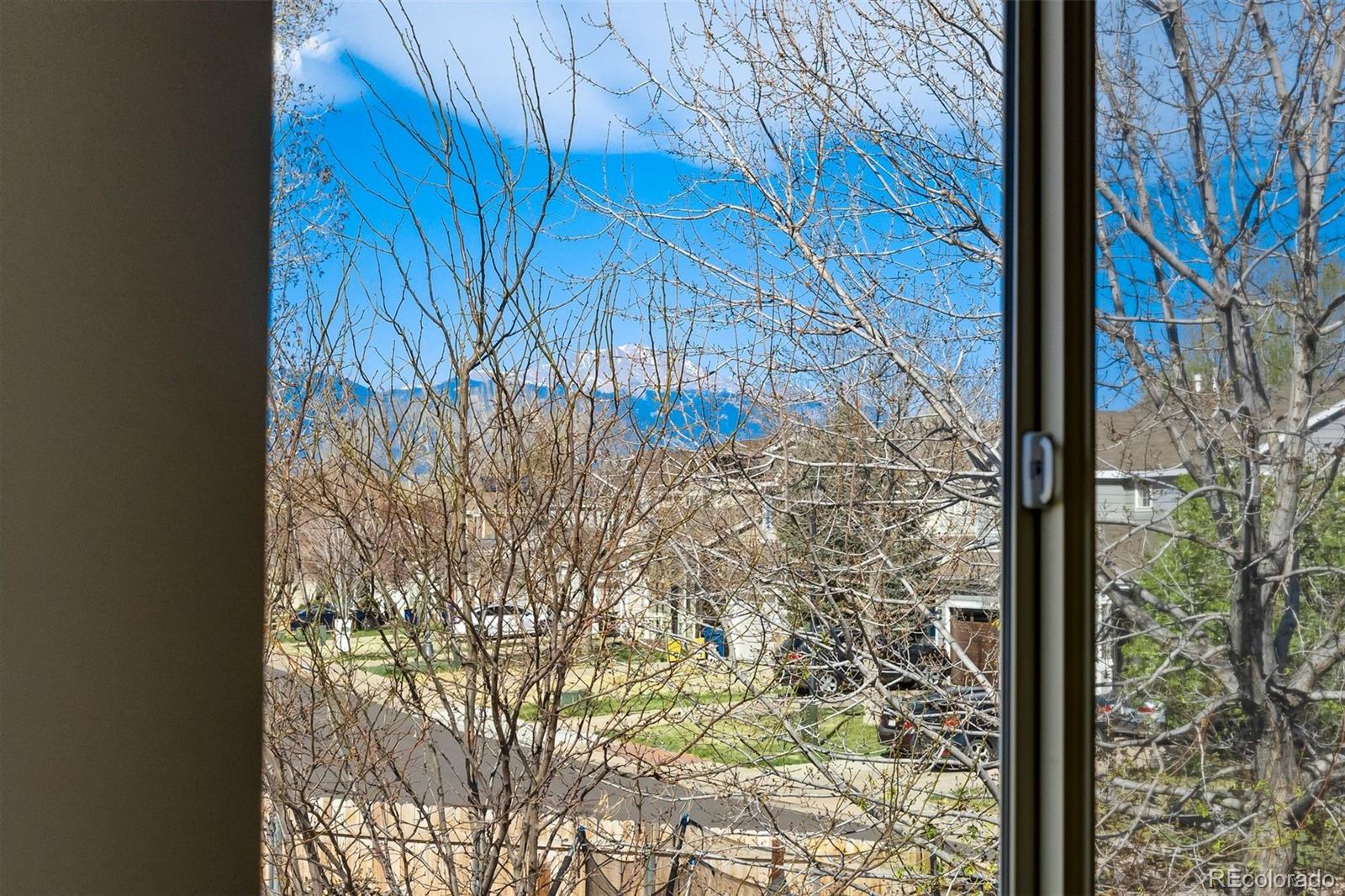 MLS Image #29 for 4364  bronco gulch court,colorado springs, Colorado
