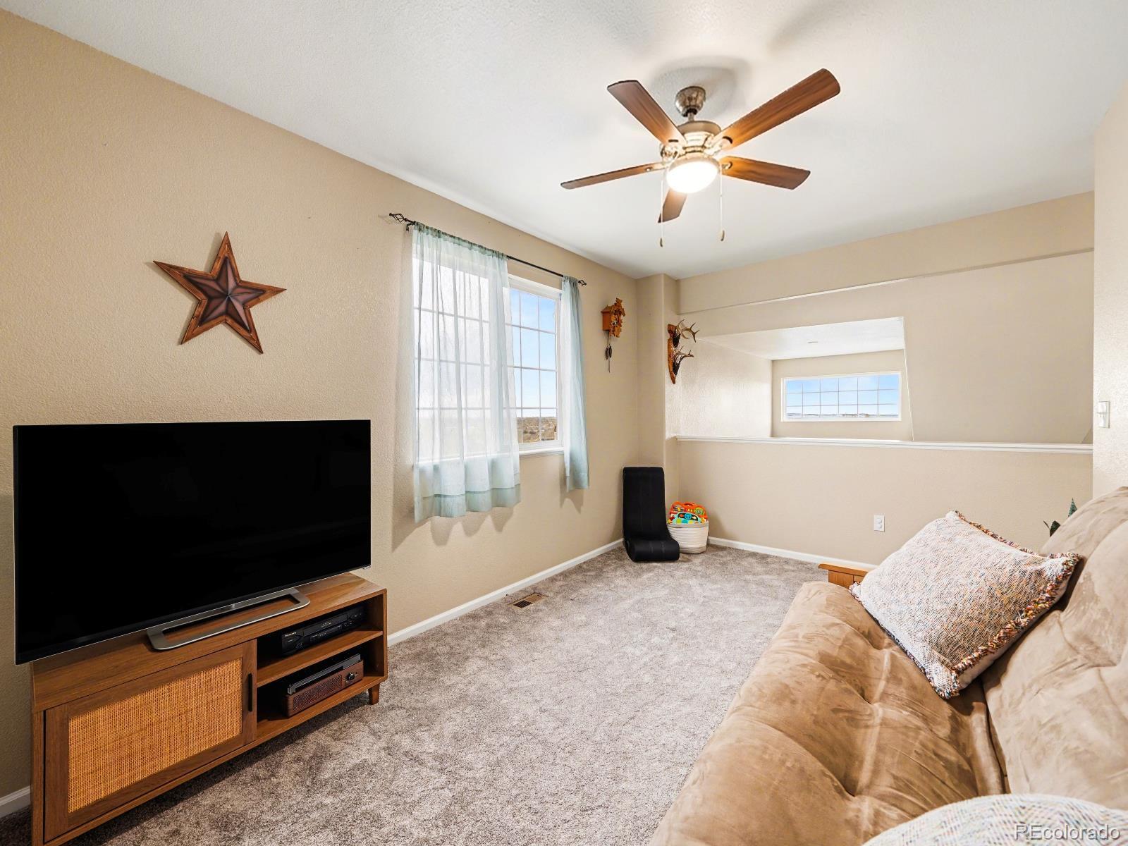 MLS Image #21 for 5620  rose ridge lane,colorado springs, Colorado