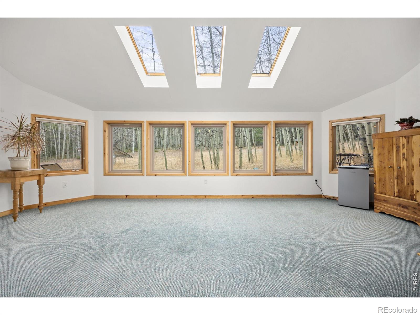 MLS Image #19 for 438 n county road ,rollinsville, Colorado