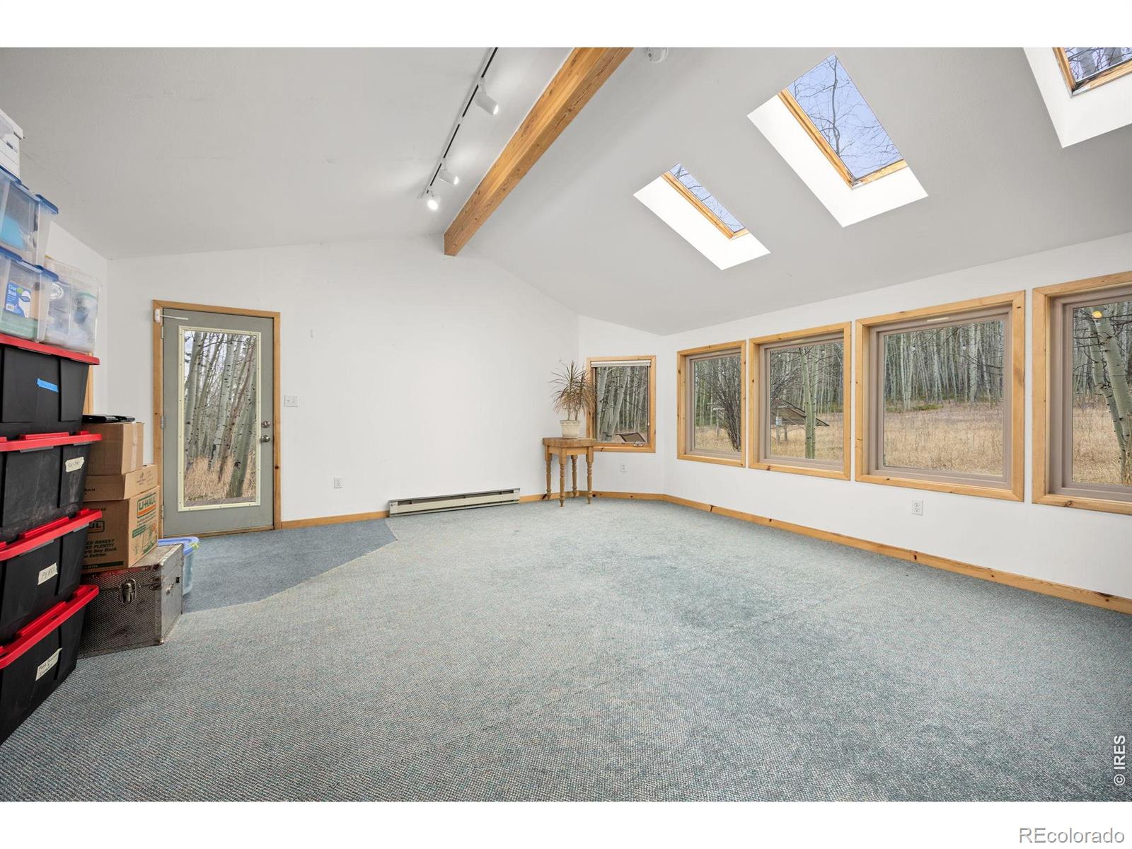 MLS Image #20 for 438 n county road ,rollinsville, Colorado