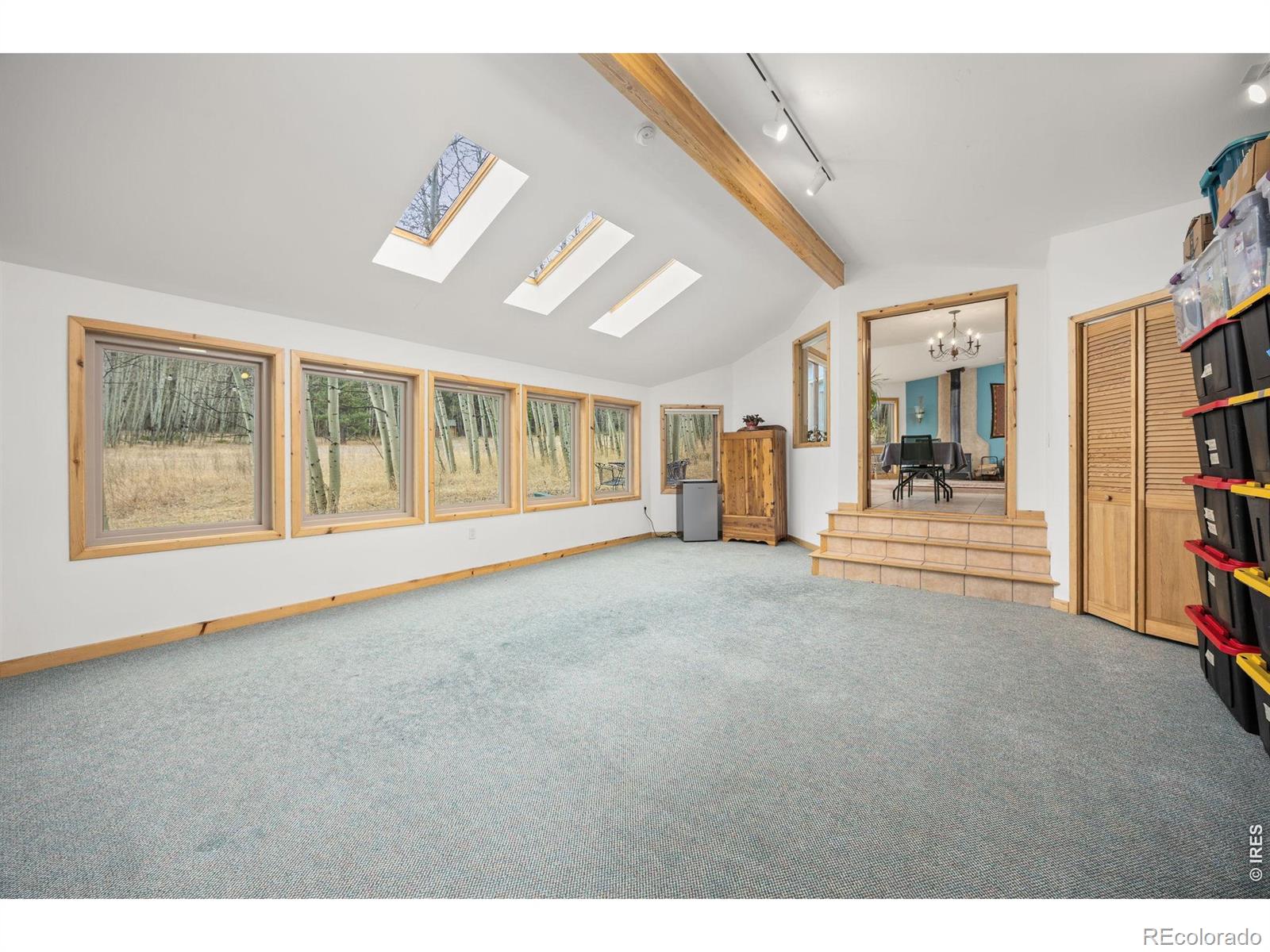 MLS Image #21 for 438 n county road ,rollinsville, Colorado