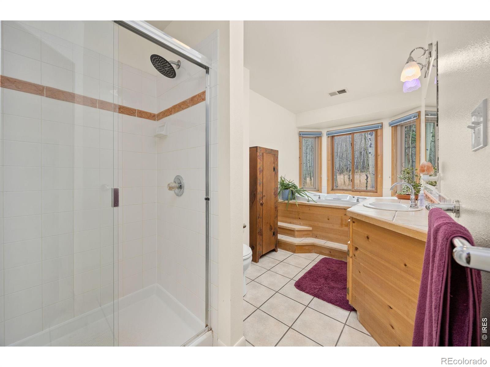 MLS Image #25 for 438 n county road ,rollinsville, Colorado