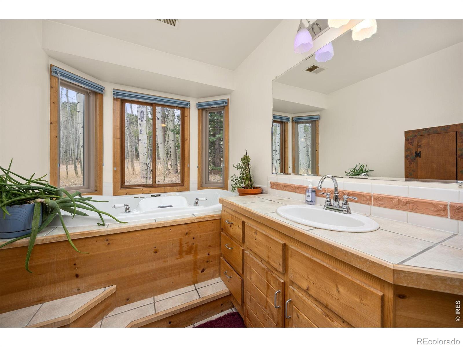 MLS Image #26 for 438 n county road ,rollinsville, Colorado