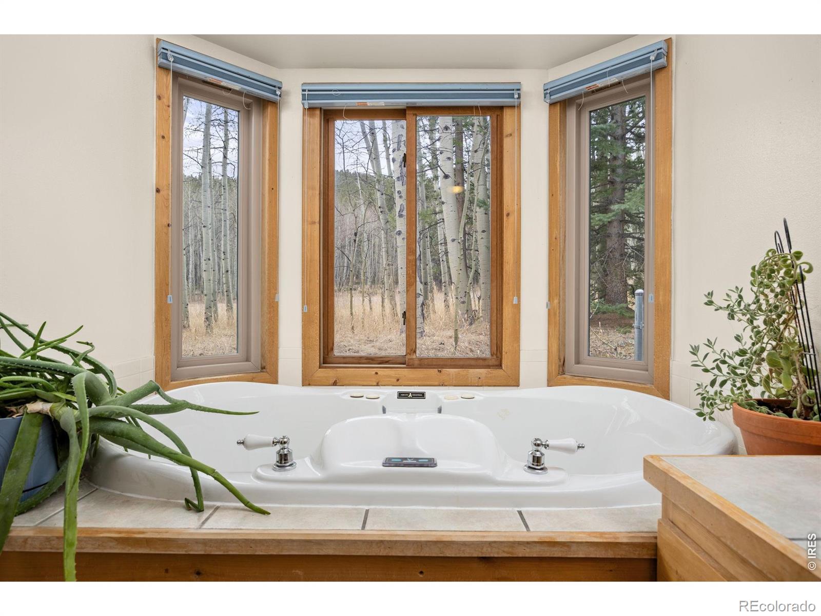 MLS Image #27 for 438 n county road ,rollinsville, Colorado