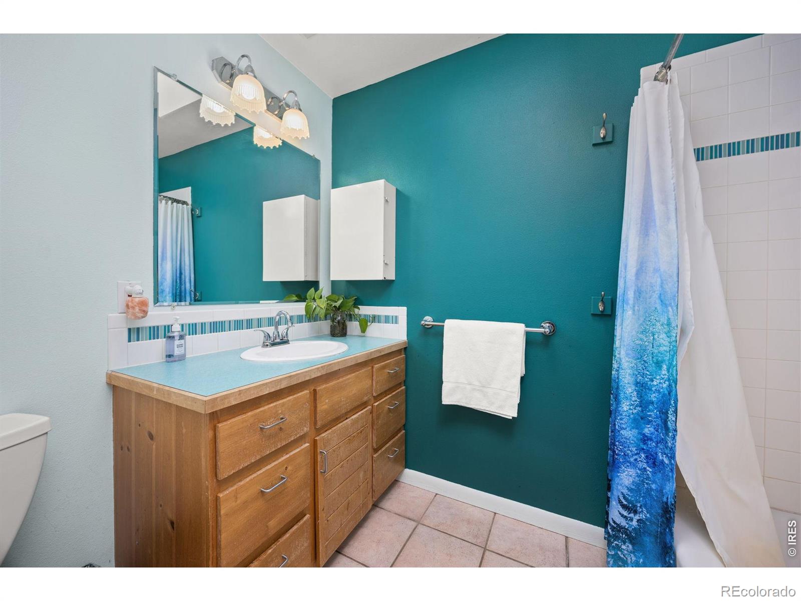 MLS Image #30 for 438 n county road ,rollinsville, Colorado