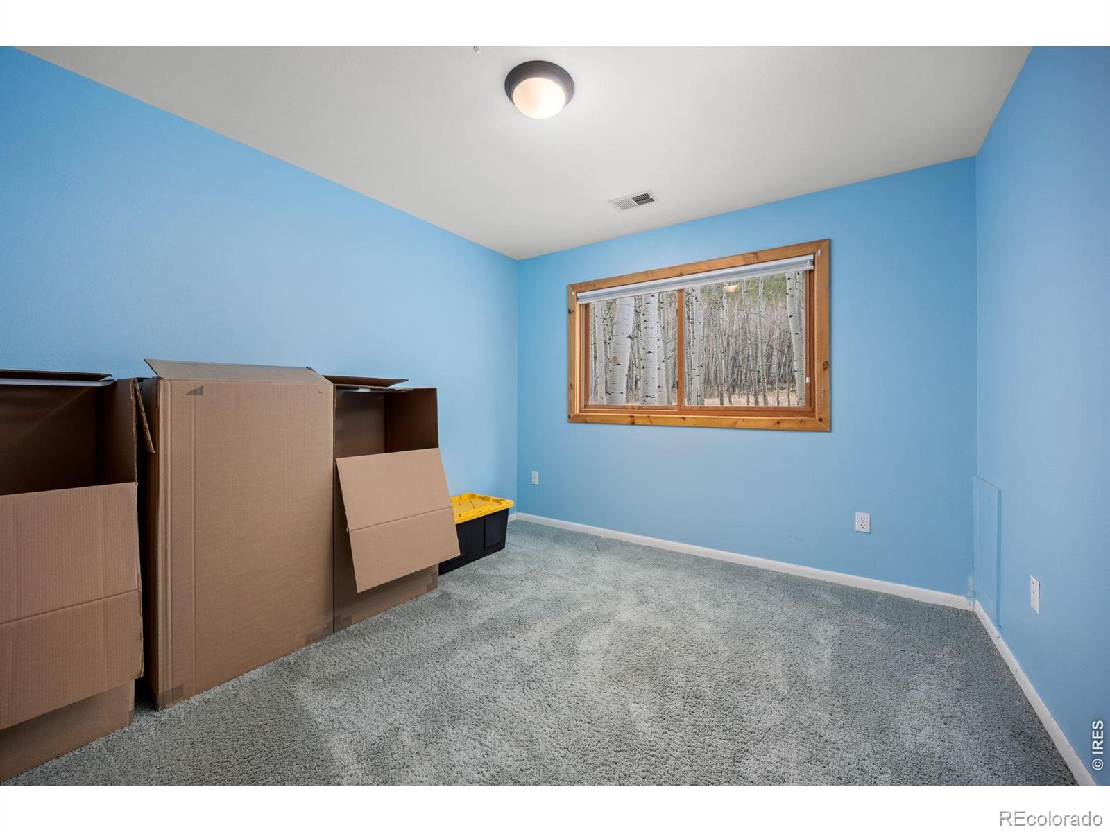 MLS Image #31 for 438 n county road ,rollinsville, Colorado