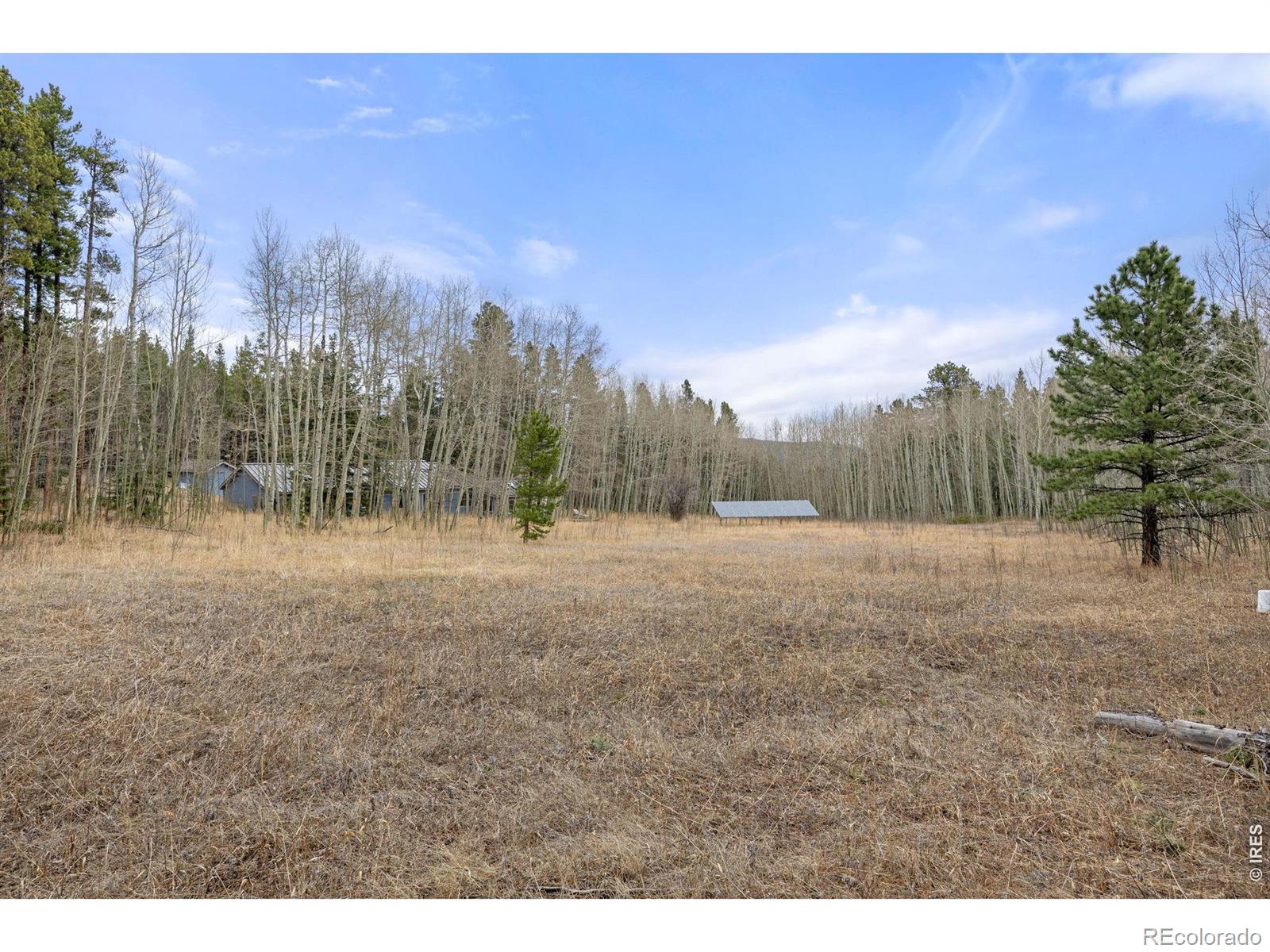 MLS Image #33 for 438 n county road ,rollinsville, Colorado