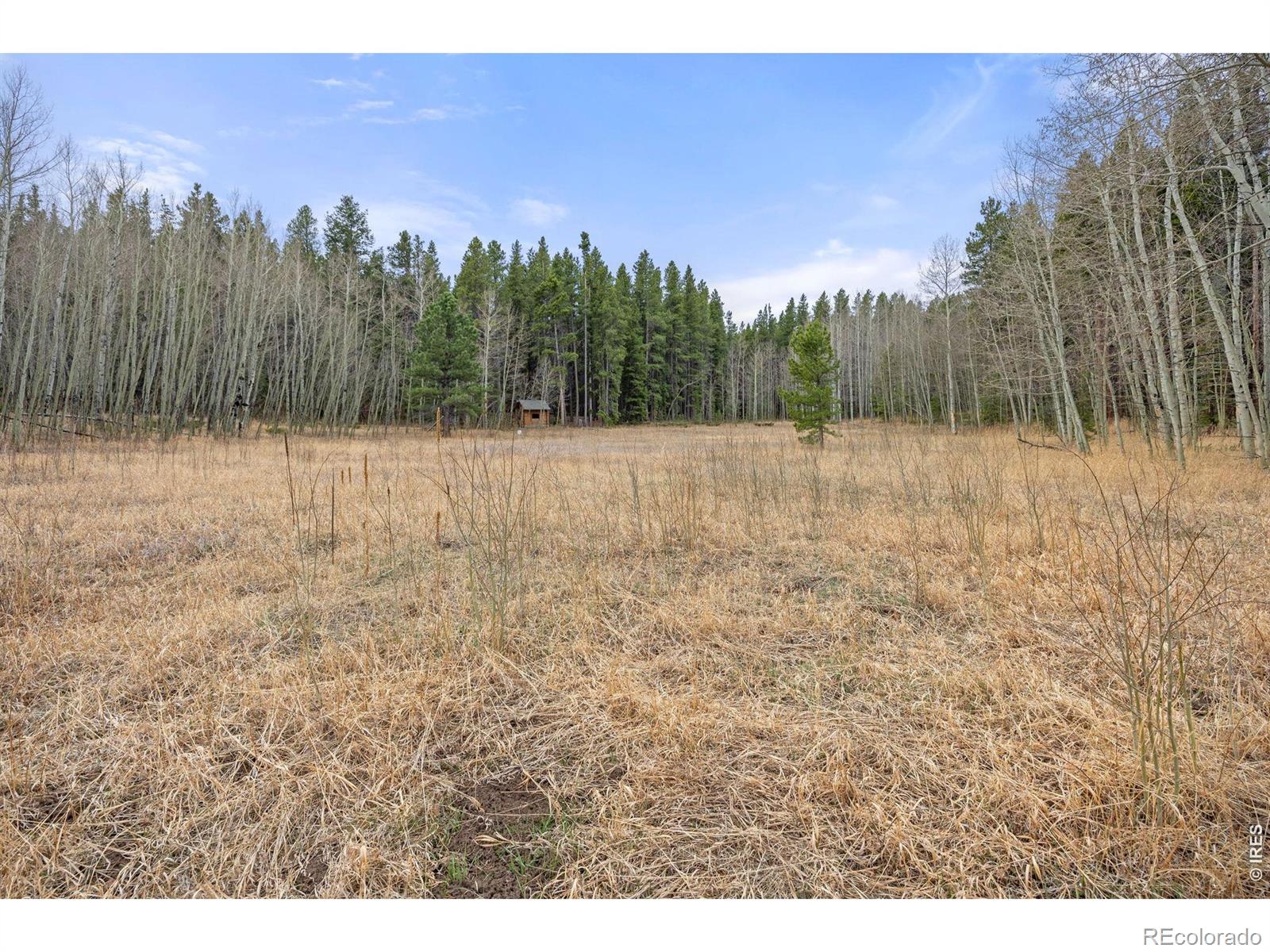 MLS Image #36 for 438 n county road ,rollinsville, Colorado