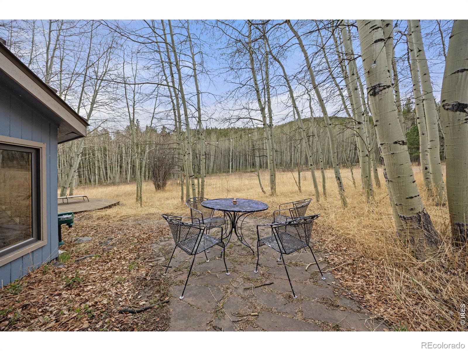 MLS Image #5 for 438 n county road ,rollinsville, Colorado