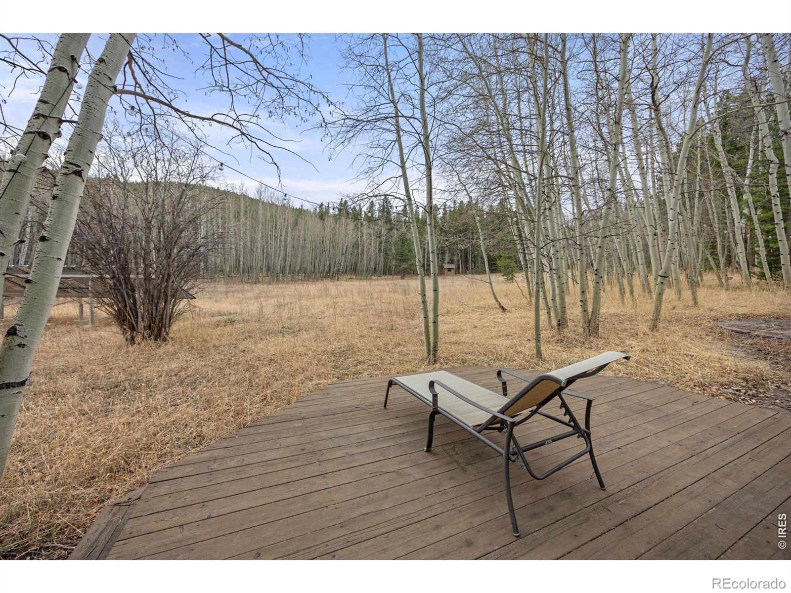 MLS Image #6 for 438 n county road ,rollinsville, Colorado