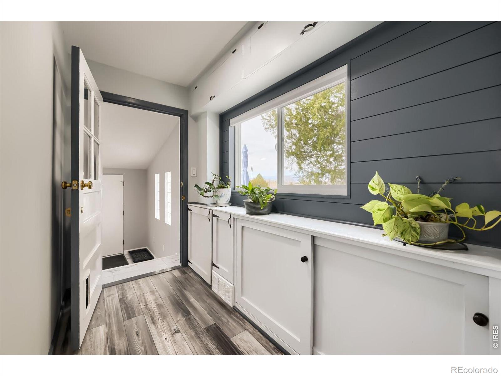 MLS Image #11 for 8438  hygiene road,longmont, Colorado