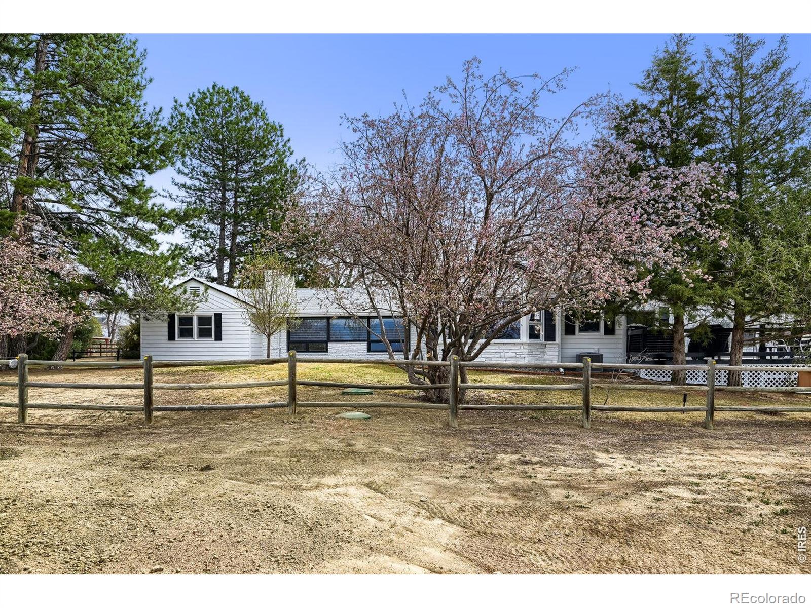 MLS Image #4 for 8438  hygiene road,longmont, Colorado
