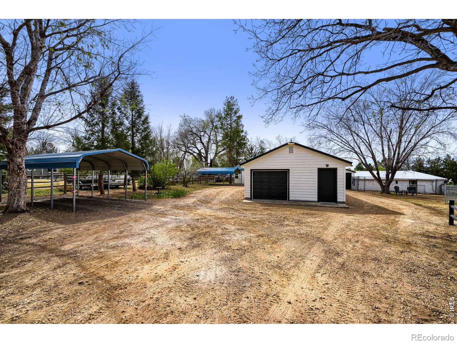 MLS Image #6 for 8438  hygiene road,longmont, Colorado