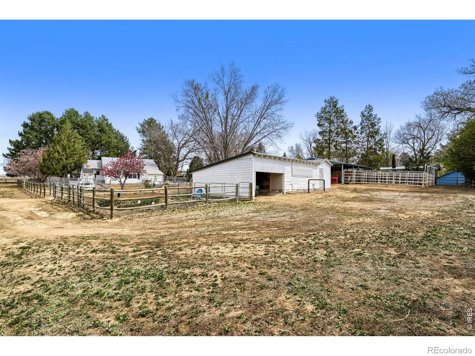 MLS Image #7 for 8438  hygiene road,longmont, Colorado