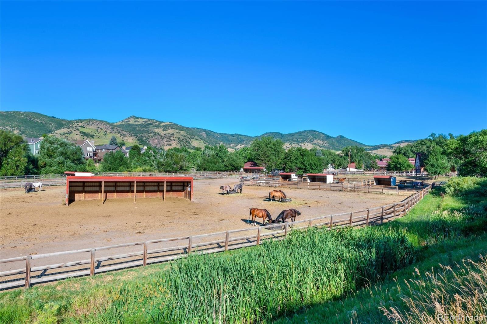MLS Image #48 for 42  dawn heath circle,littleton, Colorado