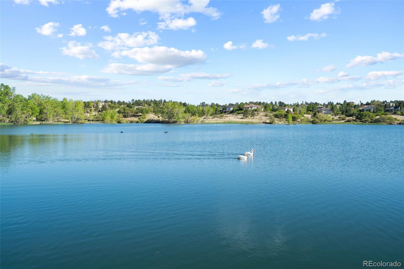 MLS Image #33 for 6110 n beckwourth court,parker, Colorado