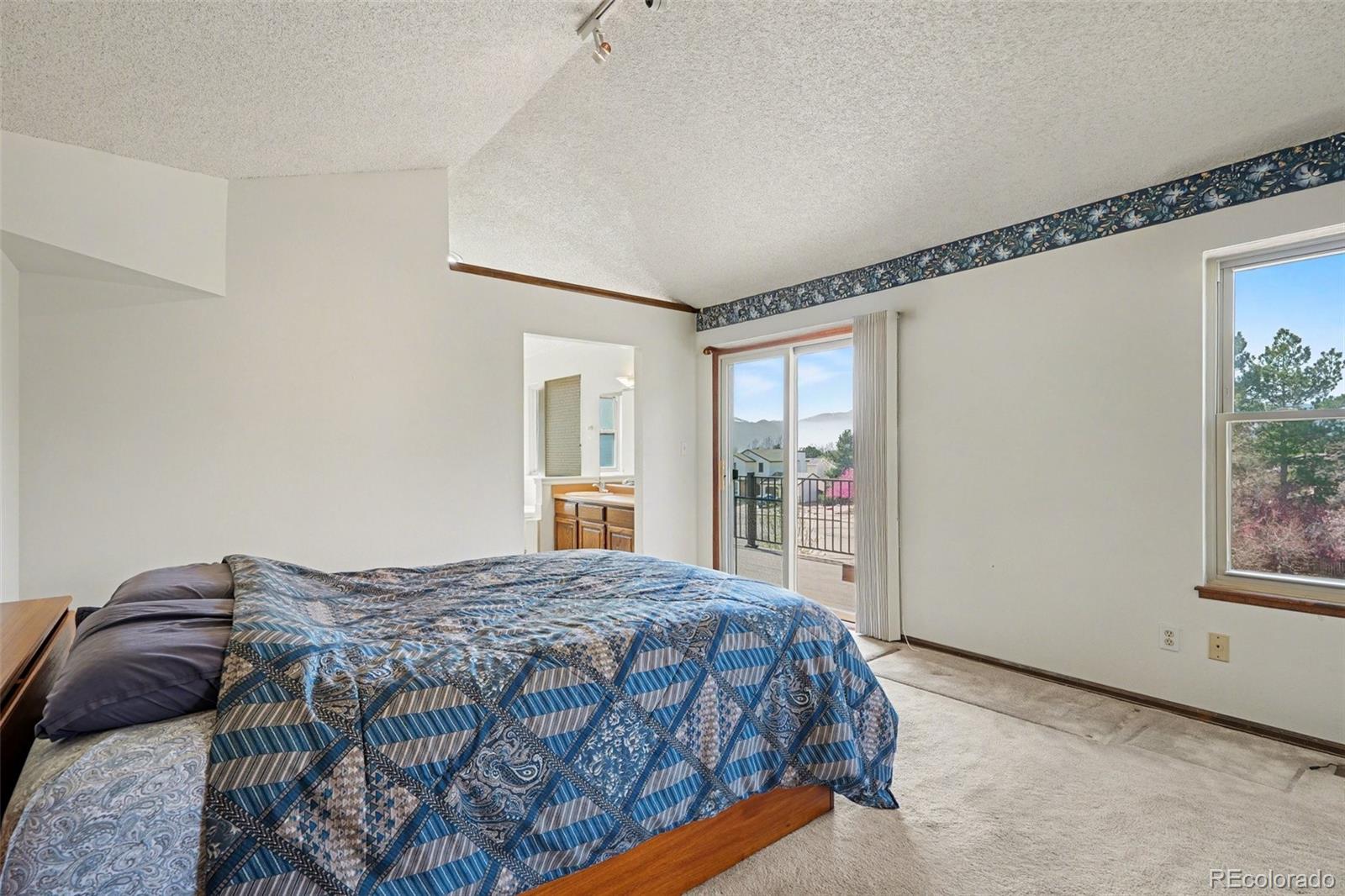 MLS Image #11 for 4315  candytuft terrace,colorado springs, Colorado