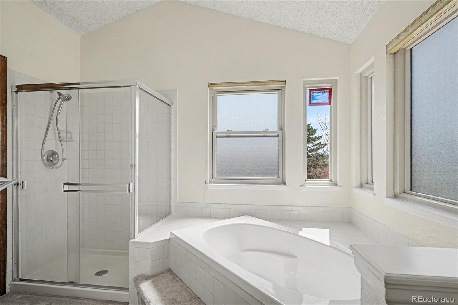 MLS Image #14 for 4315  candytuft terrace,colorado springs, Colorado
