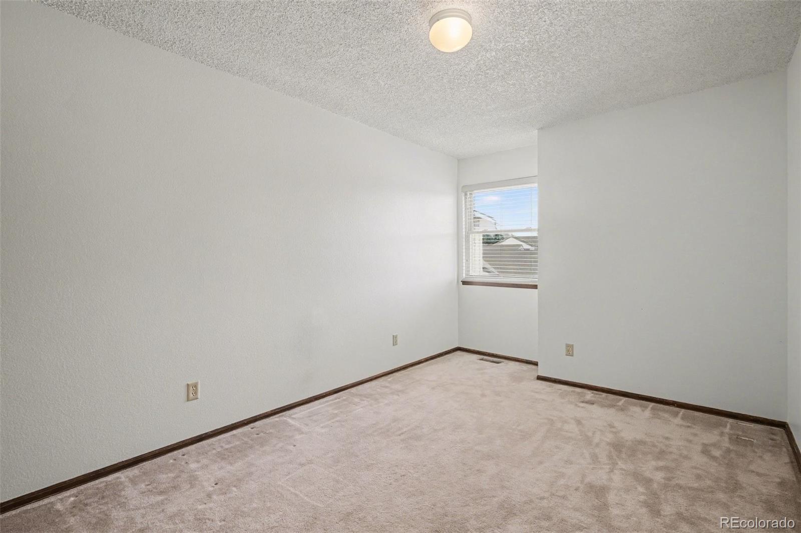 MLS Image #19 for 4315  candytuft terrace,colorado springs, Colorado