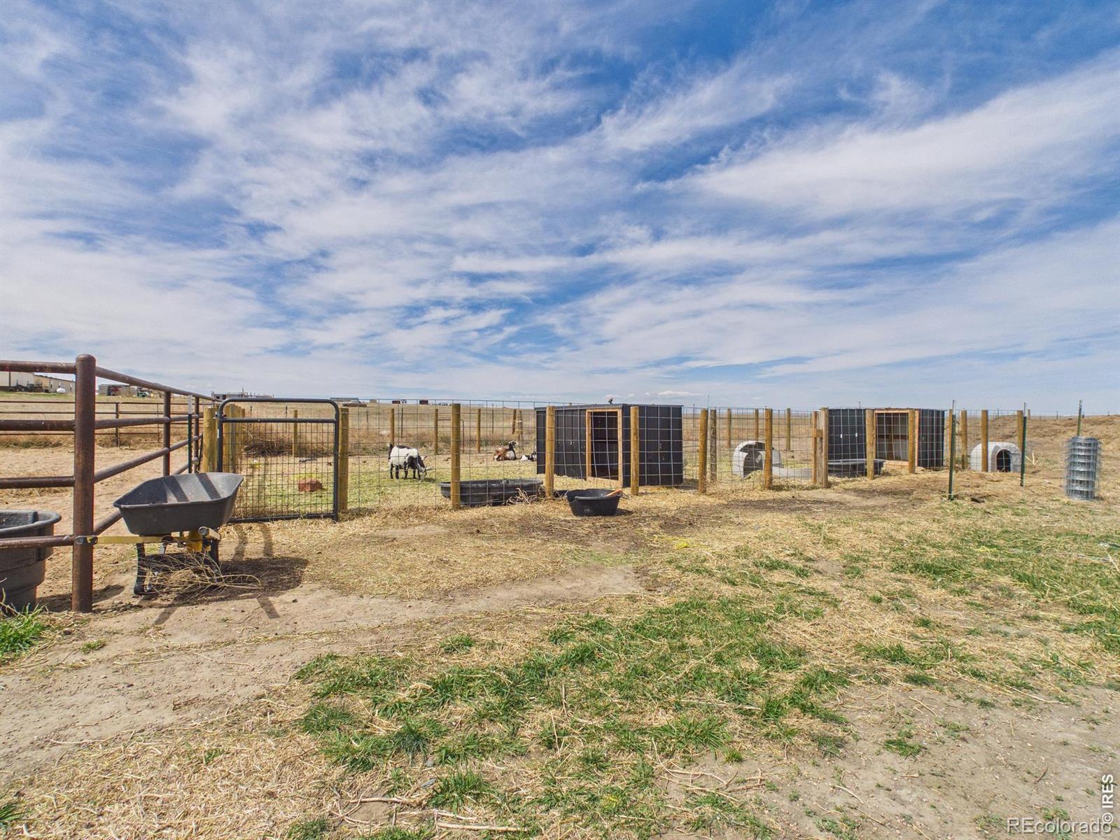 MLS Image #32 for 41227  county road 84 ,briggsdale, Colorado
