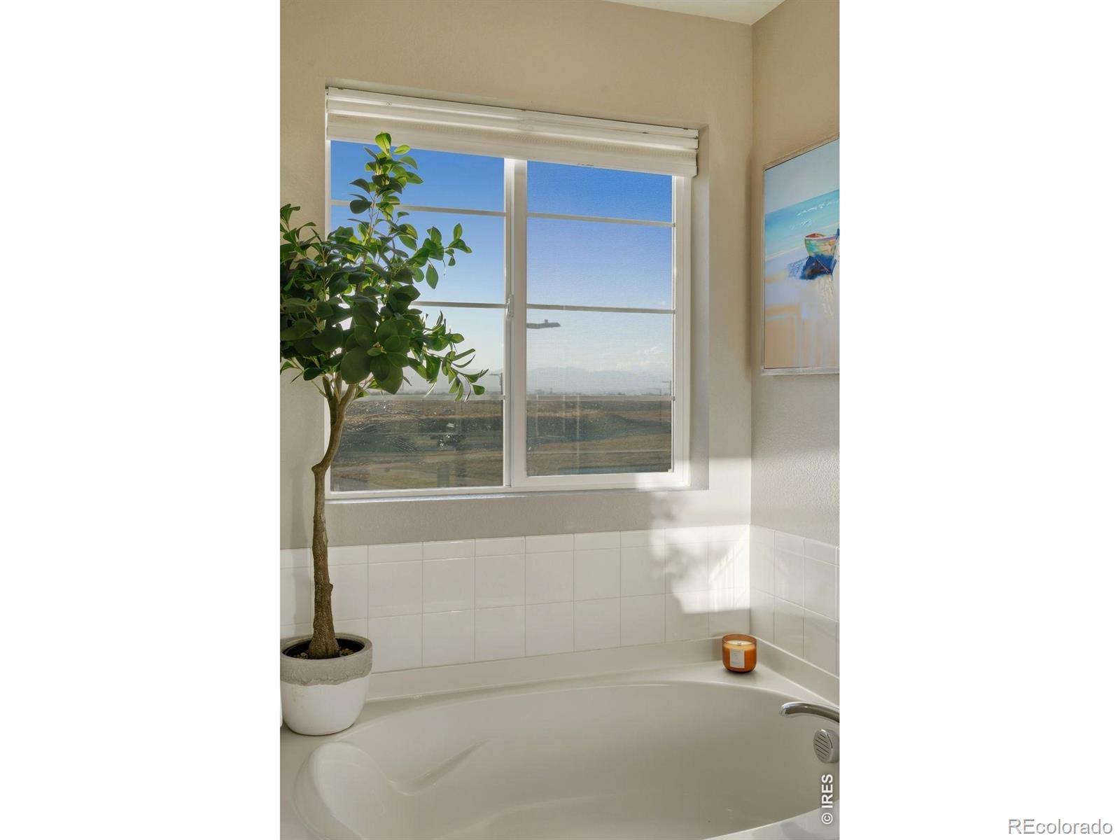 MLS Image #22 for 8990 e 61st avenue,denver, Colorado