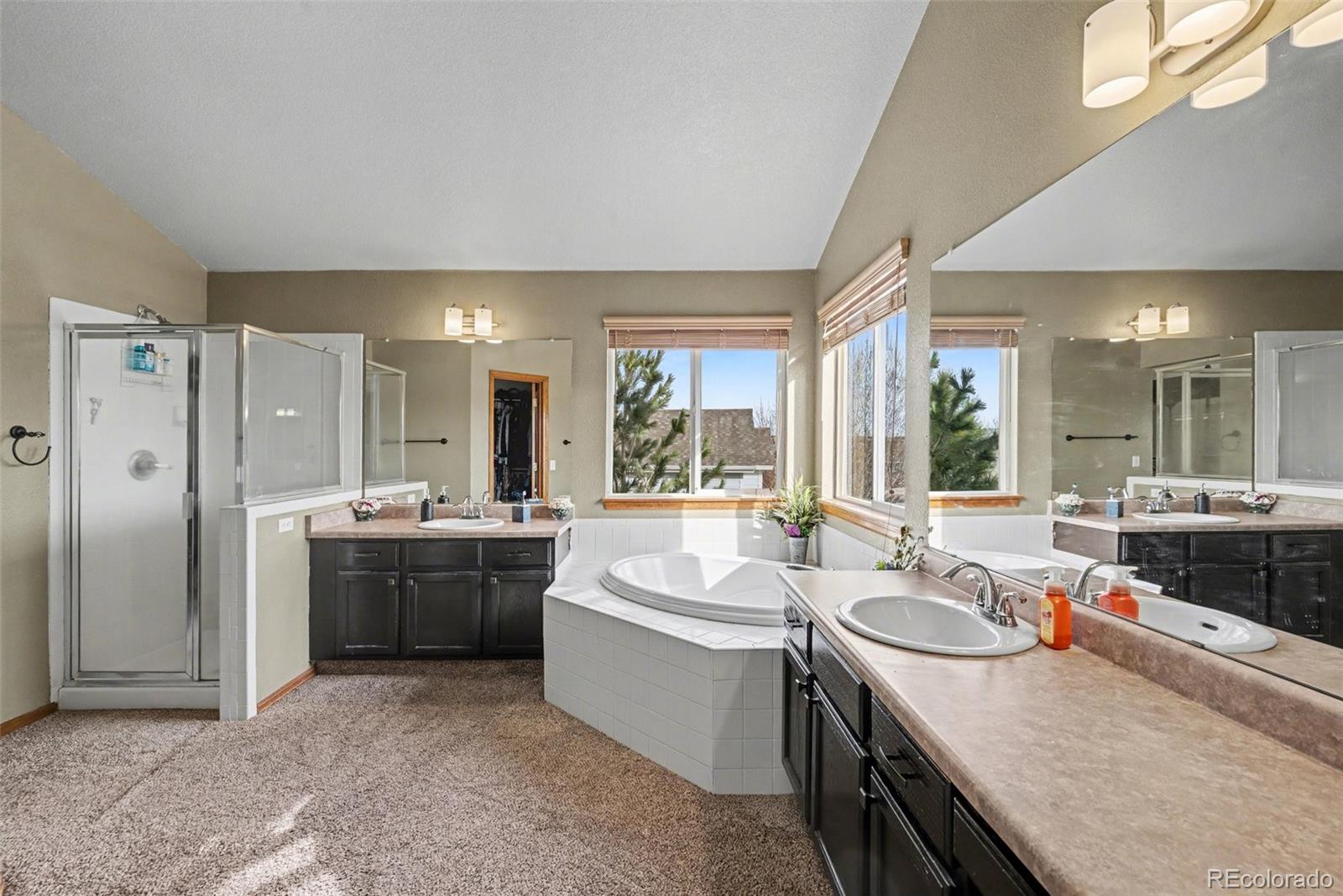 MLS Image #14 for 10912  clifford court,parker, Colorado