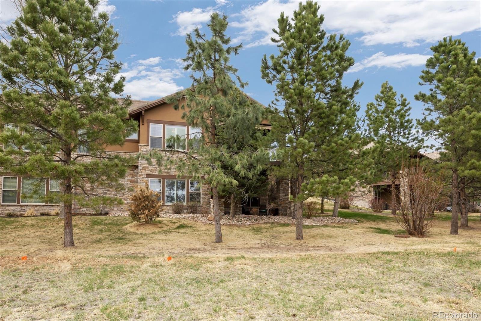 MLS Image #17 for 4318  chateau ridge road,castle rock, Colorado