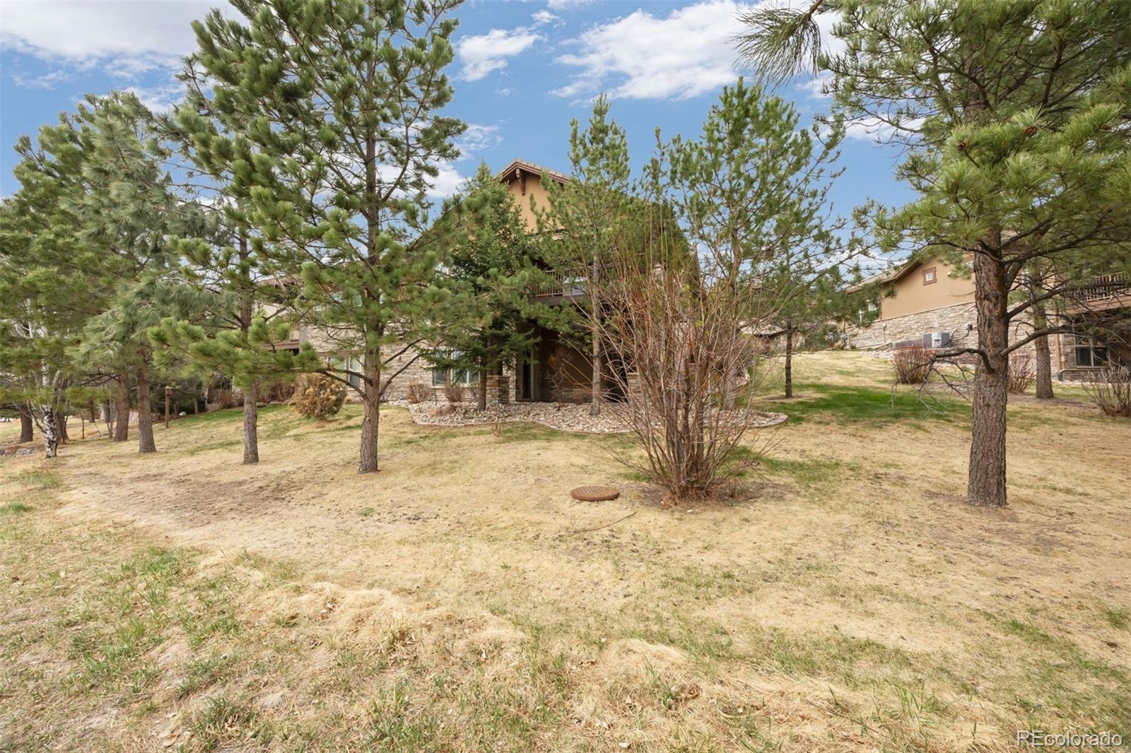 MLS Image #18 for 4318  chateau ridge road,castle rock, Colorado