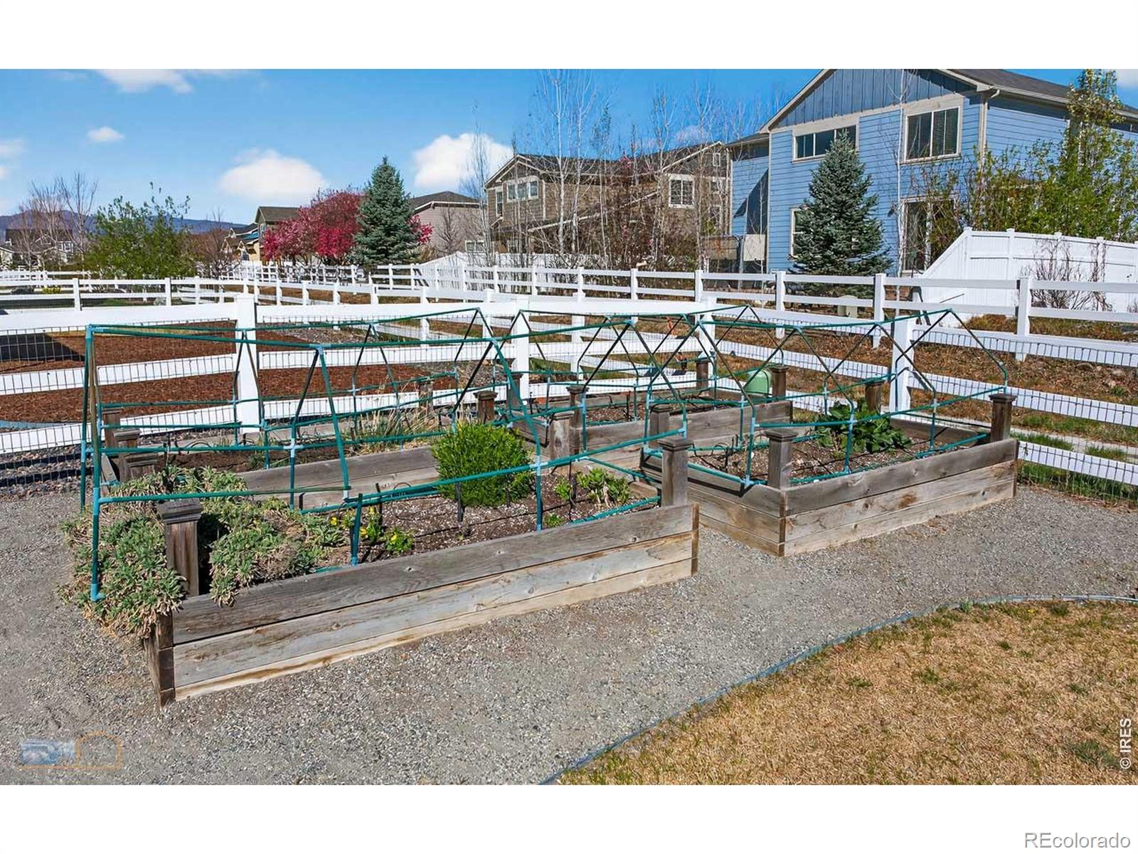 MLS Image #17 for 5002  maxwell avenue,longmont, Colorado
