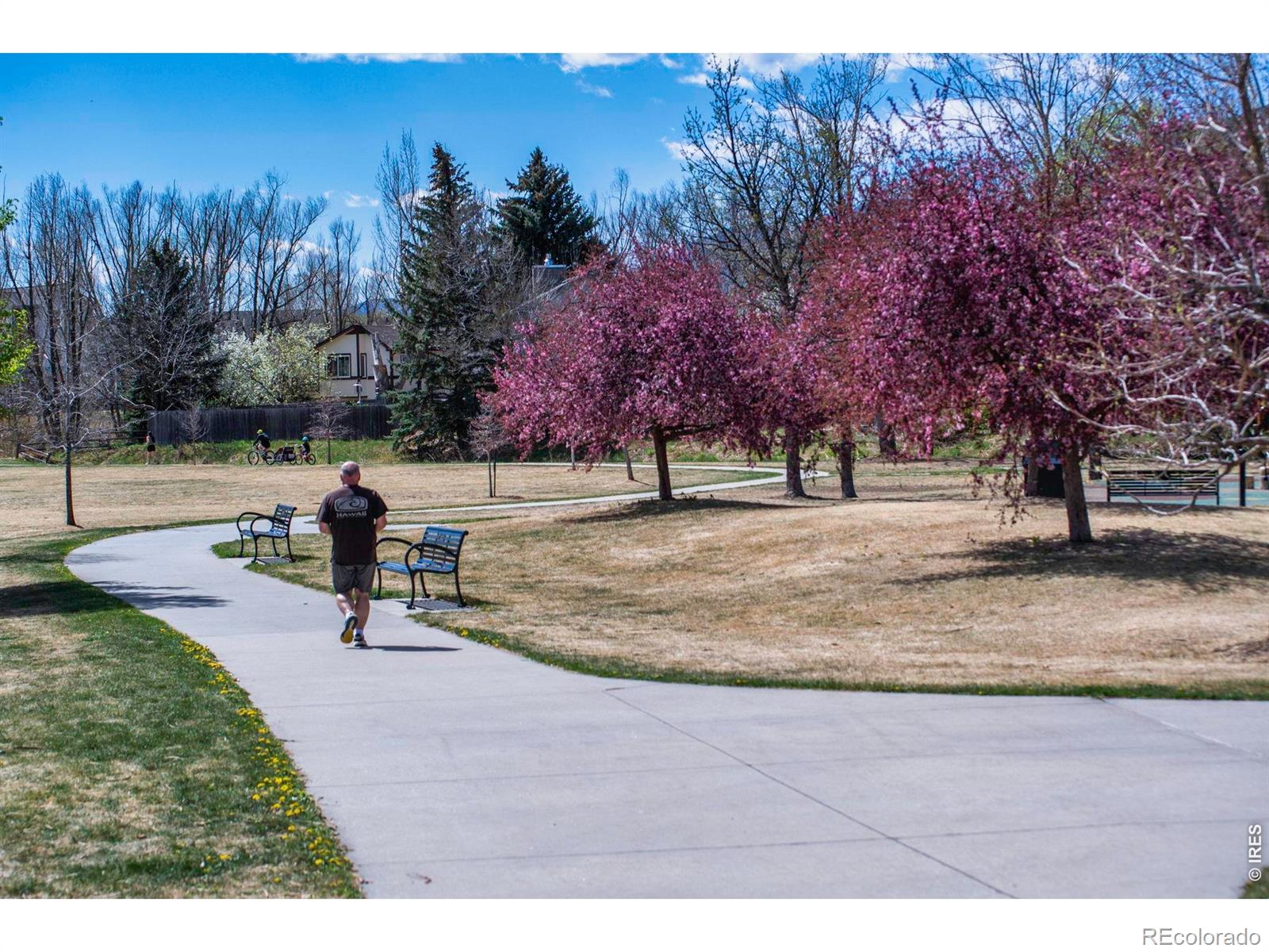 MLS Image #20 for 4240  corriente place,boulder, Colorado
