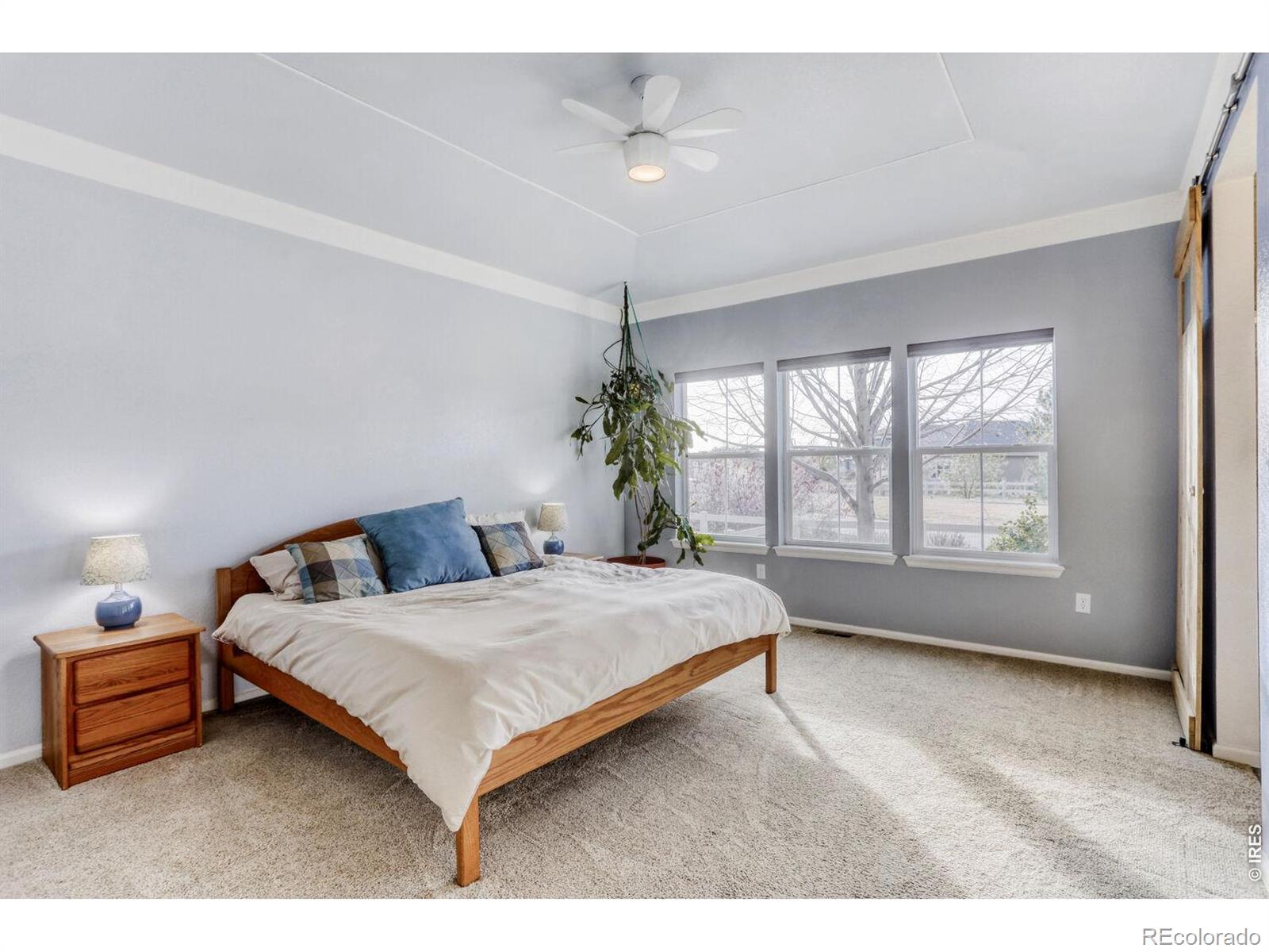 MLS Image #14 for 1429  rustic drive,longmont, Colorado
