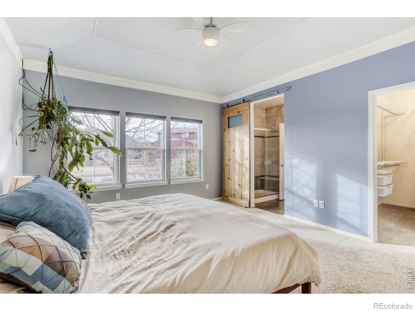 MLS Image #15 for 1429  rustic drive,longmont, Colorado