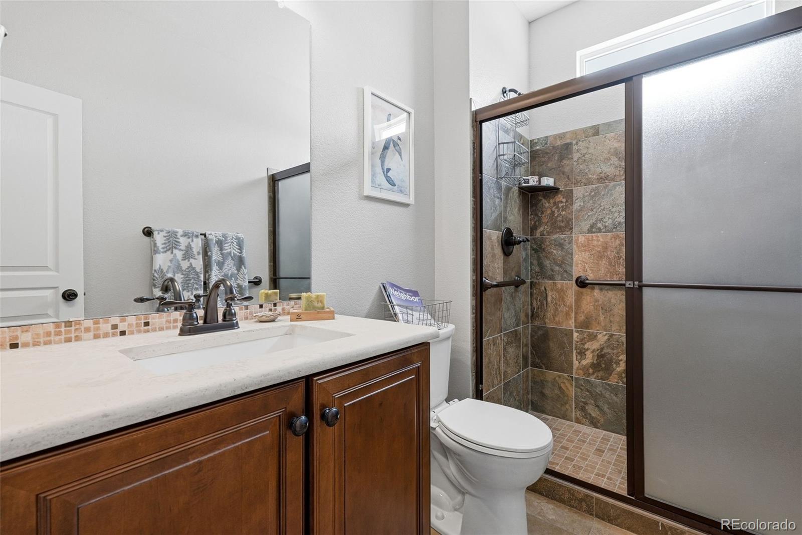 MLS Image #17 for 2815  dreamcatcher loop,castle rock, Colorado