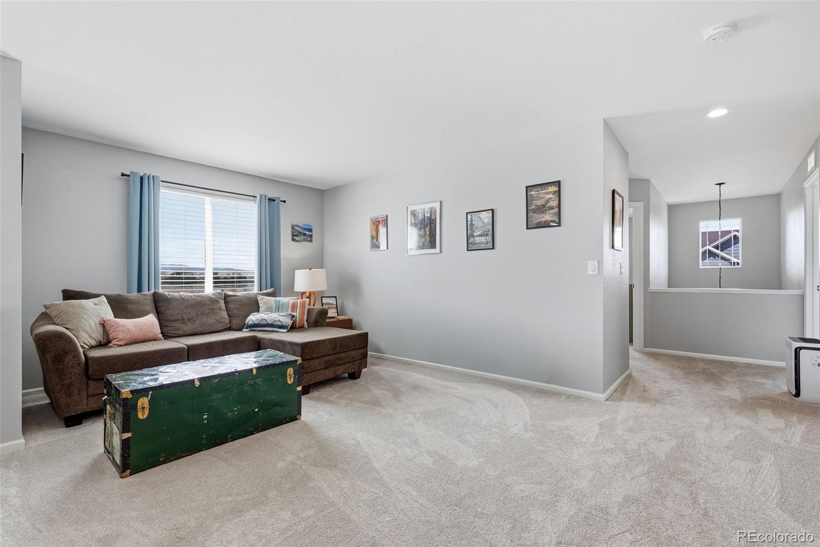 MLS Image #19 for 2815  dreamcatcher loop,castle rock, Colorado