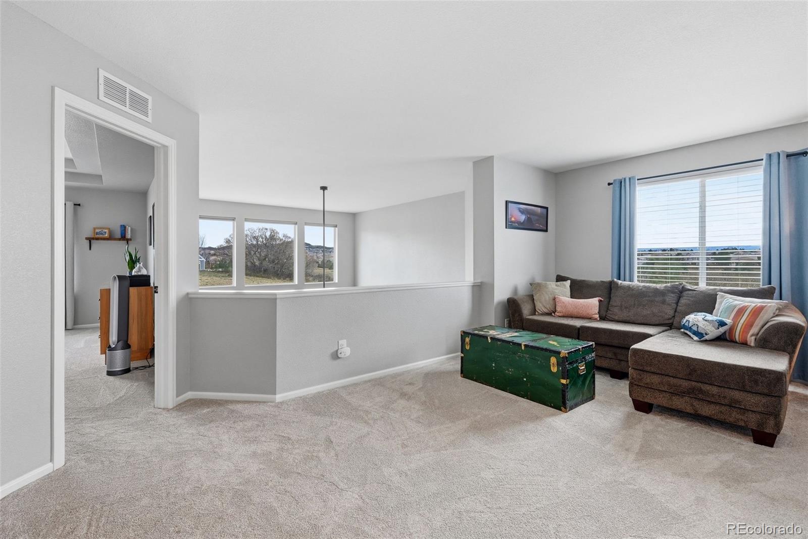 MLS Image #20 for 2815  dreamcatcher loop,castle rock, Colorado