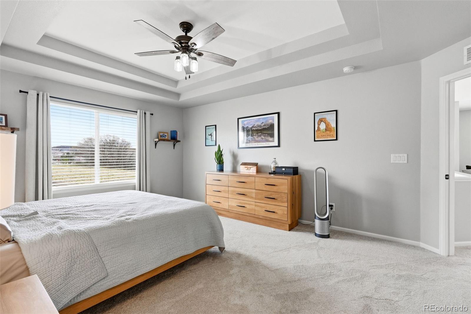 MLS Image #23 for 2815  dreamcatcher loop,castle rock, Colorado