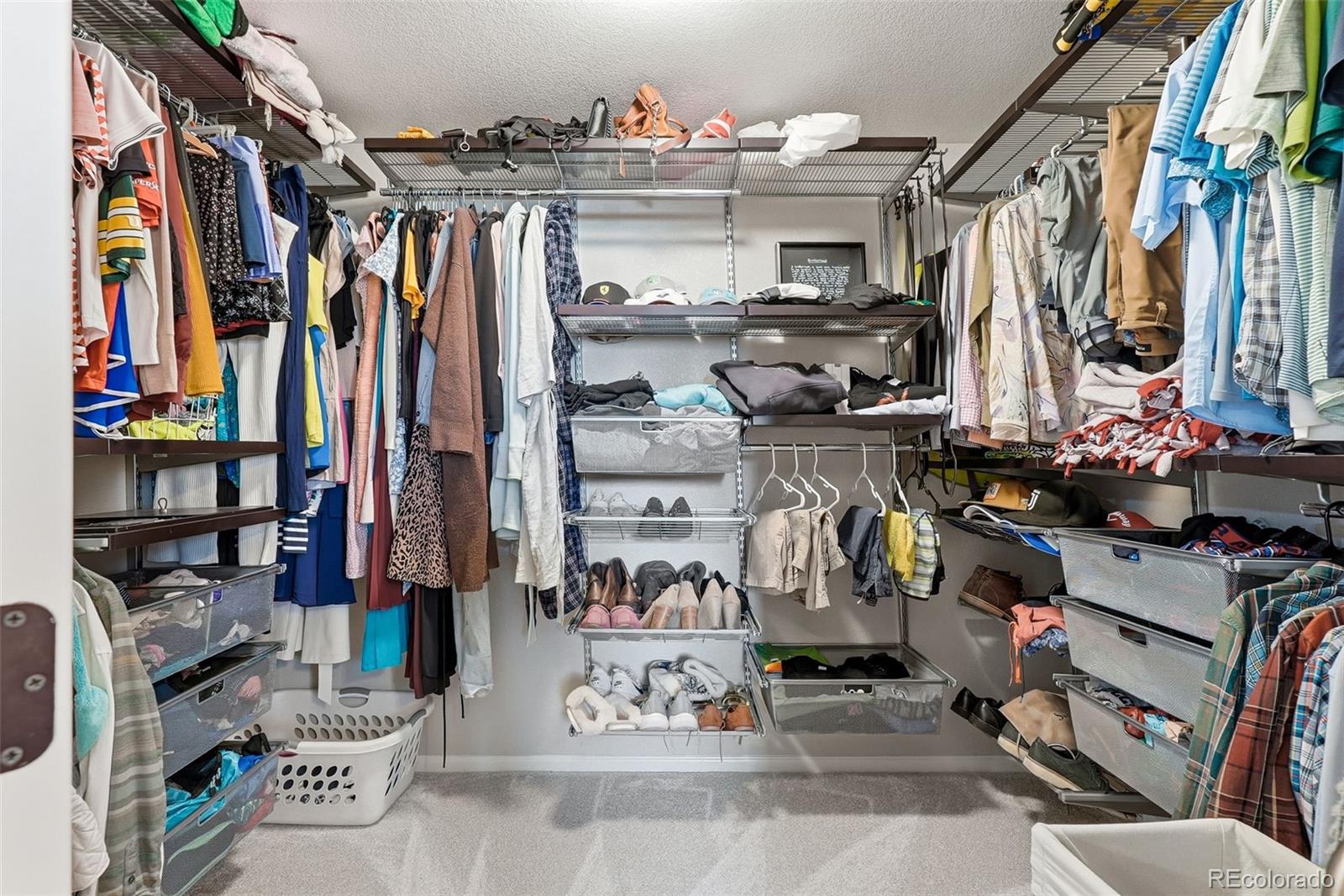 MLS Image #25 for 2815  dreamcatcher loop,castle rock, Colorado