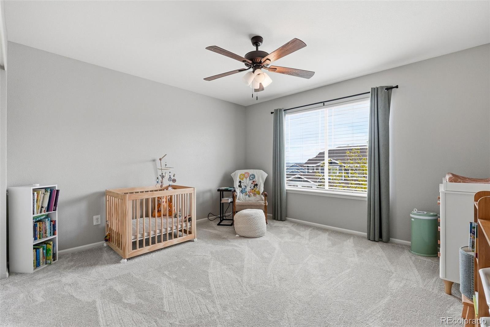 MLS Image #28 for 2815  dreamcatcher loop,castle rock, Colorado
