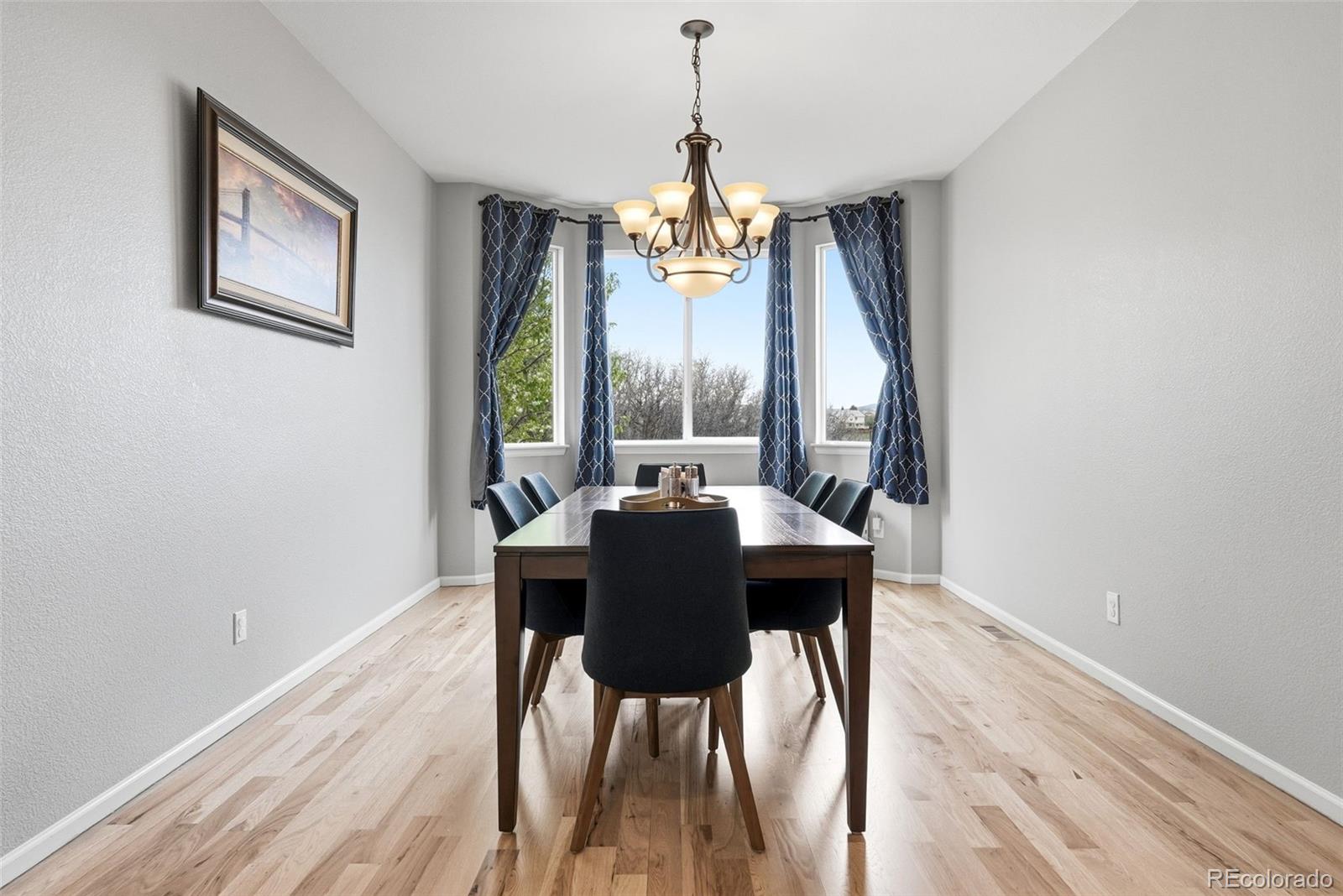 MLS Image #7 for 2815  dreamcatcher loop,castle rock, Colorado