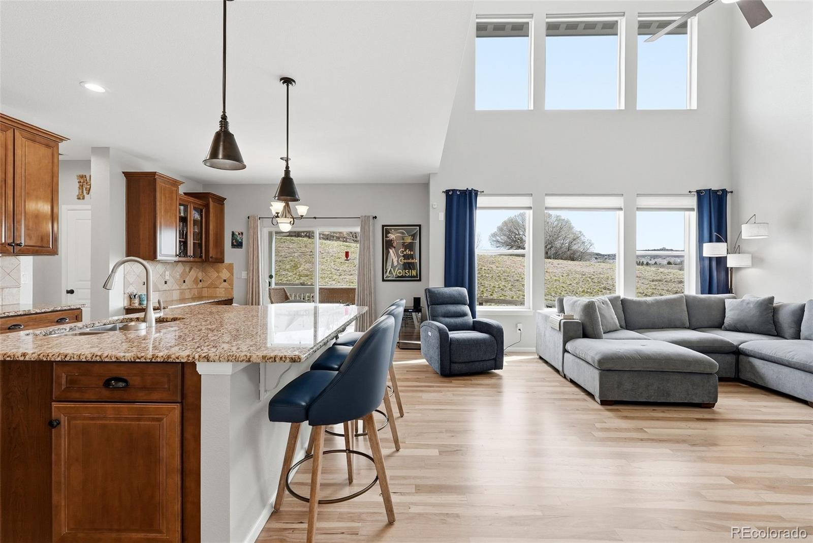 MLS Image #8 for 2815  dreamcatcher loop,castle rock, Colorado