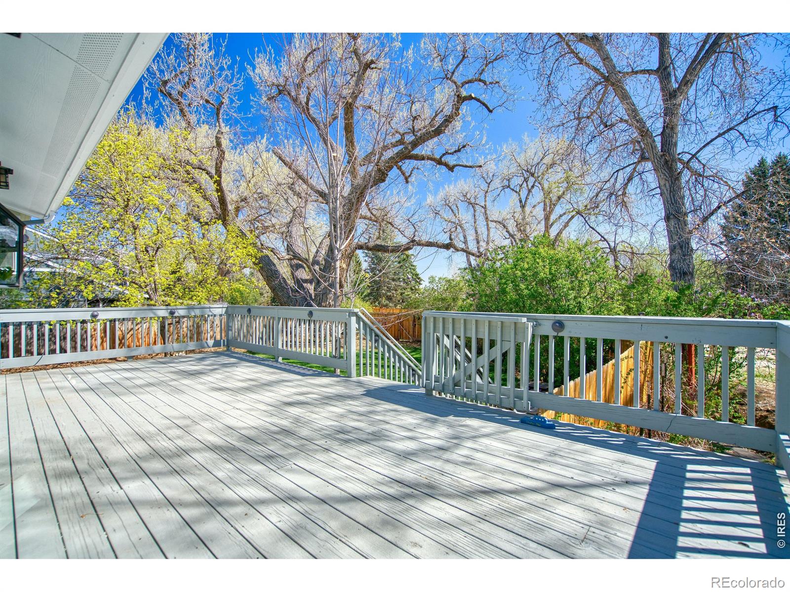 MLS Image #5 for 7216  timothy place,niwot, Colorado