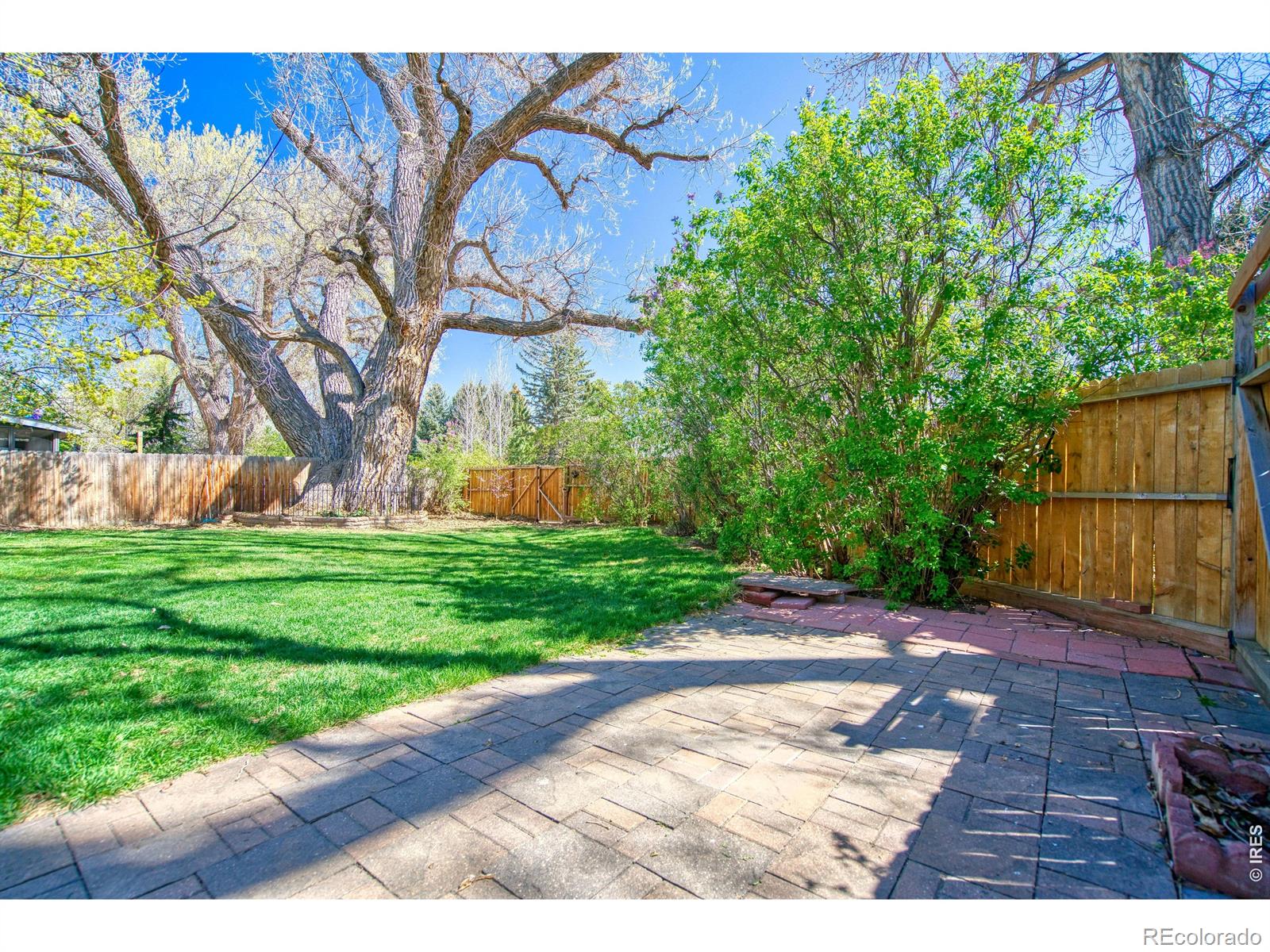 MLS Image #6 for 7216  timothy place,niwot, Colorado